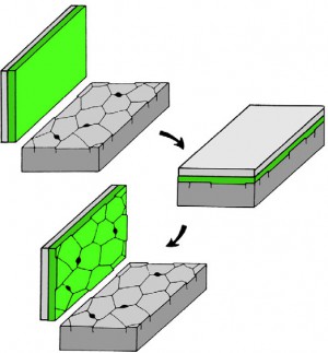 Набор реплик для снятия микроструктуры Transcopy