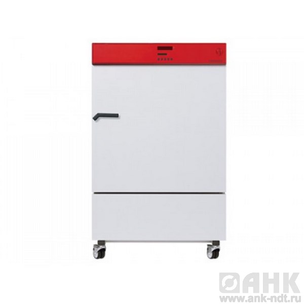 Инкубатор KB 240 Binder (Германия)